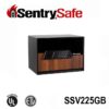 Két Sắt Chống Cháy SentrySafe SSV225GB ket sat chong chay sentrysafe sfw205dpb 1